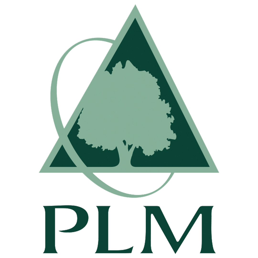 PLMINS_2color_Initials-2